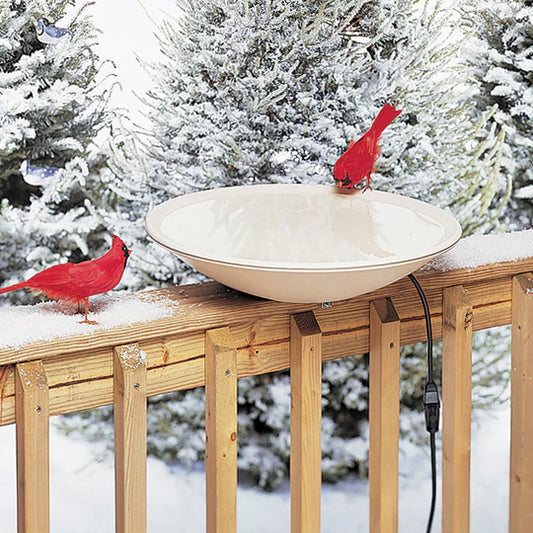 Deck Mounted Bird Bath with Deck Mount Bracket